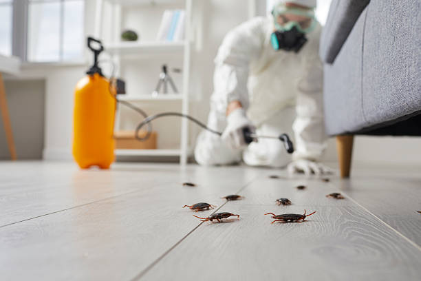 Commercial Kitchen Cockroach Control in Perryopolis